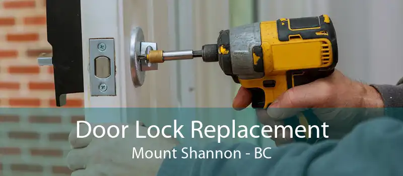 Door Lock Replacement Mount Shannon - BC