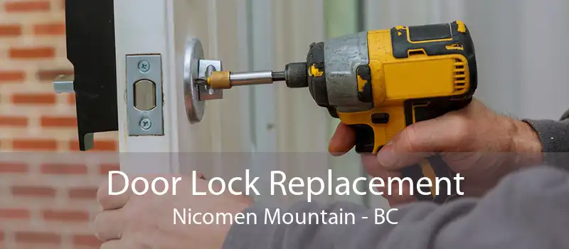 Door Lock Replacement Nicomen Mountain - BC