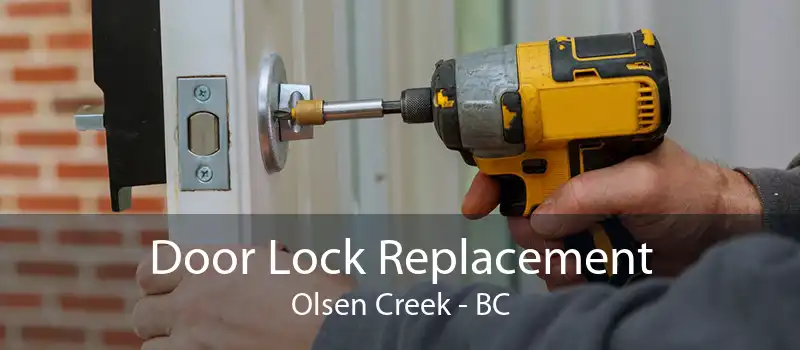 Door Lock Replacement Olsen Creek - BC