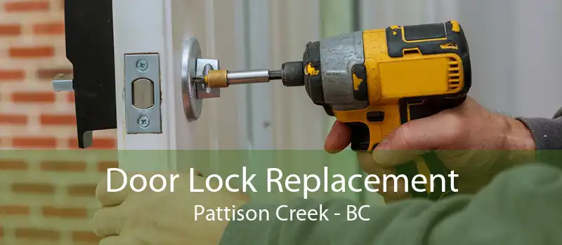Door Lock Replacement Pattison Creek - BC
