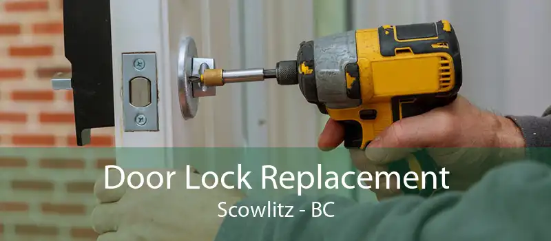 Door Lock Replacement Scowlitz - BC