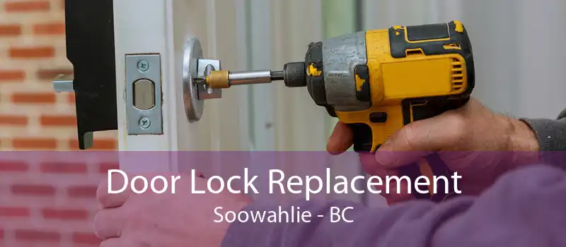 Door Lock Replacement Soowahlie - BC