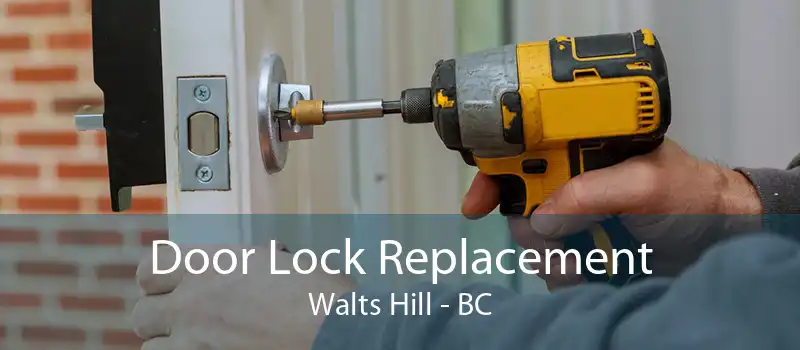 Door Lock Replacement Walts Hill - BC