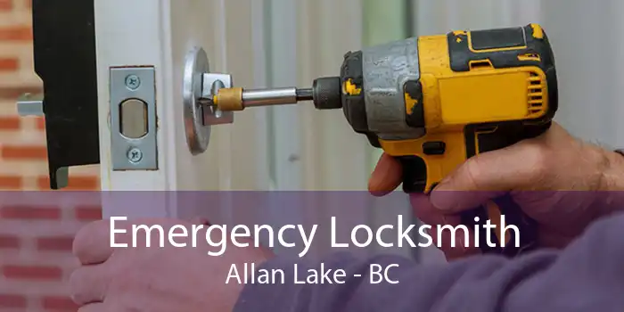 Emergency Locksmith Allan Lake - BC