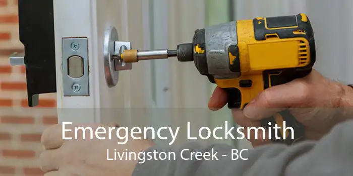 Emergency Locksmith Livingston Creek - BC