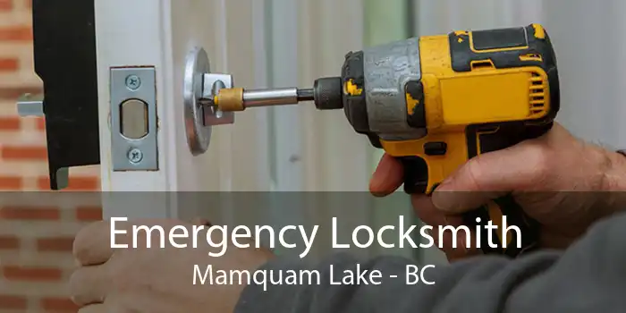Emergency Locksmith Mamquam Lake - BC