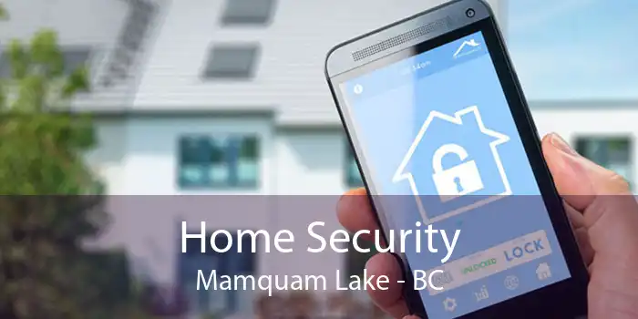 Home Security Mamquam Lake - BC