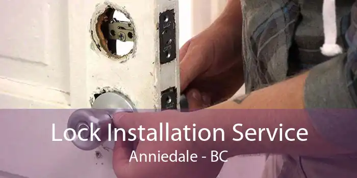 Lock Installation Service Anniedale - BC