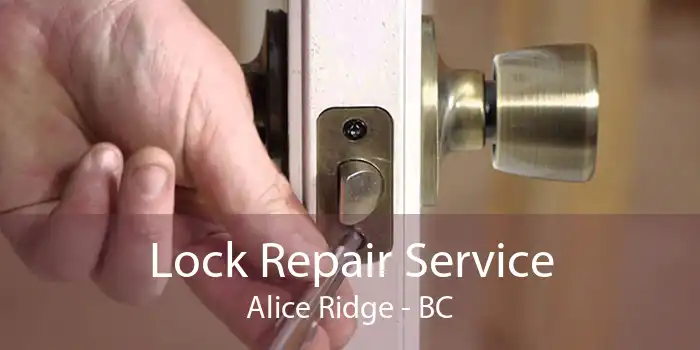 Lock Repair Service Alice Ridge - BC