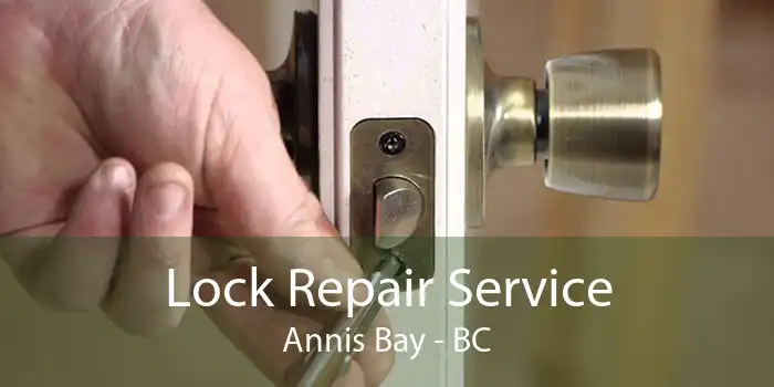 Lock Repair Service Annis Bay - BC