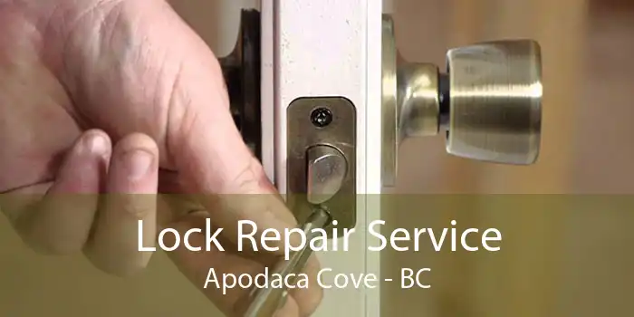 Lock Repair Service Apodaca Cove - BC