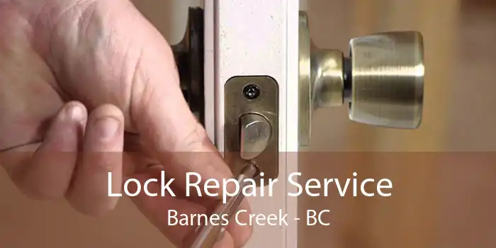 Lock Repair Service Barnes Creek - BC