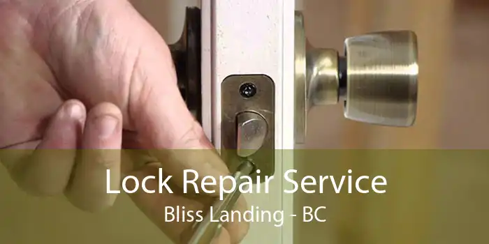 Lock Repair Service Bliss Landing - BC