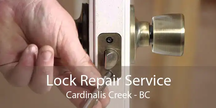 Lock Repair Service Cardinalis Creek - BC