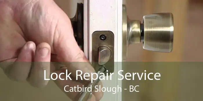 Lock Repair Service Catbird Slough - BC