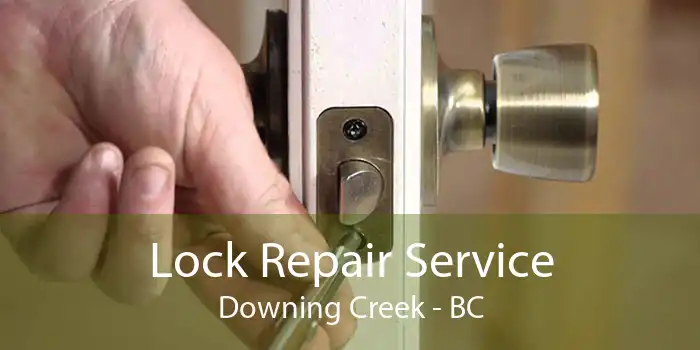 Lock Repair Service Downing Creek - BC