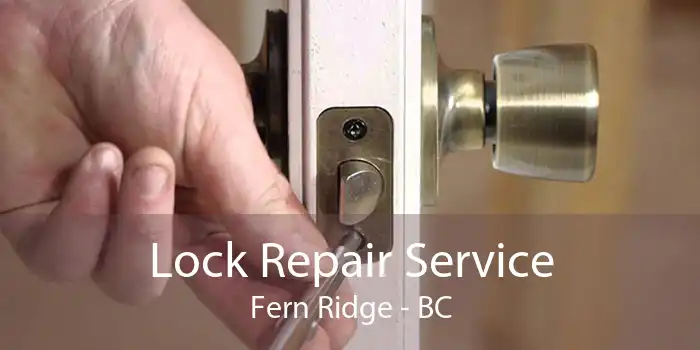 Lock Repair Service Fern Ridge - BC