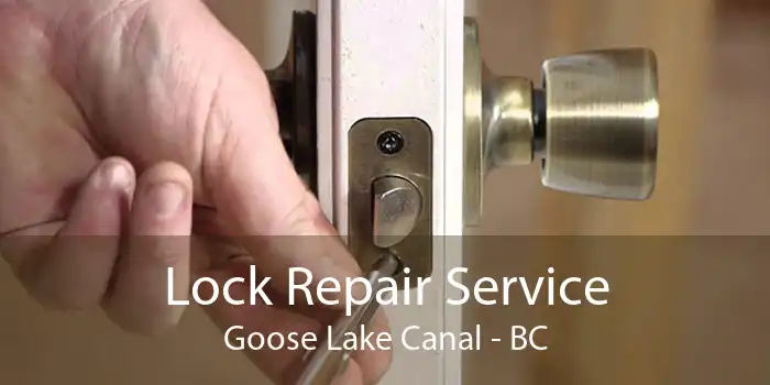 Lock Repair Service Goose Lake Canal - BC