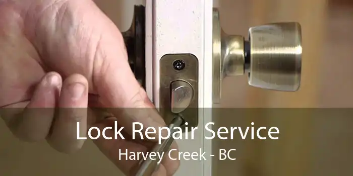 Lock Repair Service Harvey Creek - BC
