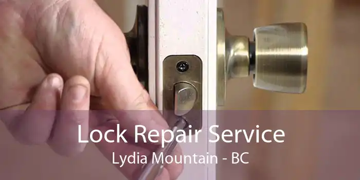 Lock Repair Service Lydia Mountain - BC