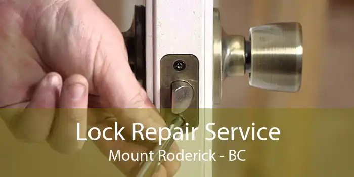 Lock Repair Service Mount Roderick - BC