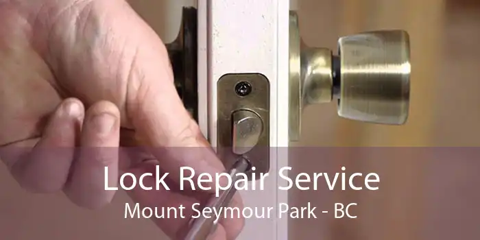 Lock Repair Service Mount Seymour Park - BC