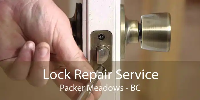 Lock Repair Service Packer Meadows - BC