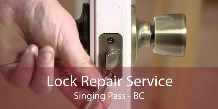 Lock Repair Service Singing Pass - BC