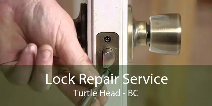 Lock Repair Service Turtle Head - BC