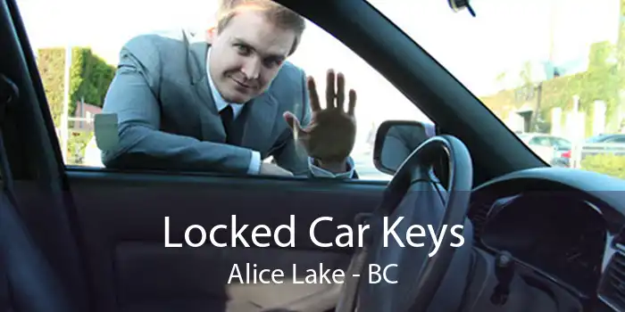 Locked Car Keys Alice Lake - BC