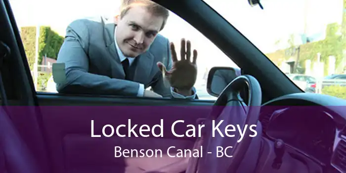 Locked Car Keys Benson Canal - BC