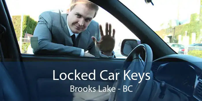 Locked Car Keys Brooks Lake - BC