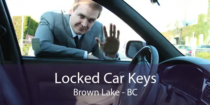 Locked Car Keys Brown Lake - BC