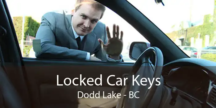 Locked Car Keys Dodd Lake - BC