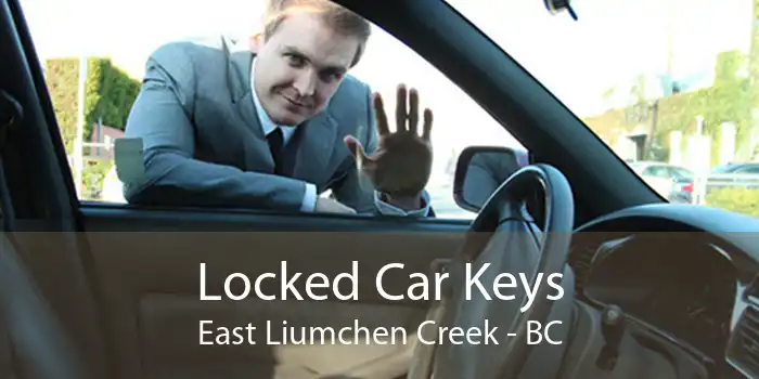Locked Car Keys East Liumchen Creek - BC