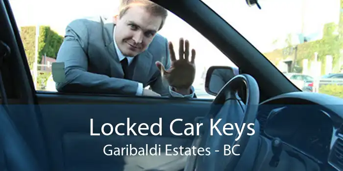 Locked Car Keys Garibaldi Estates - BC