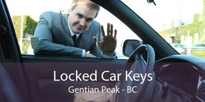 Locked Car Keys Gentian Peak - BC