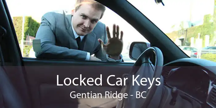 Locked Car Keys Gentian Ridge - BC