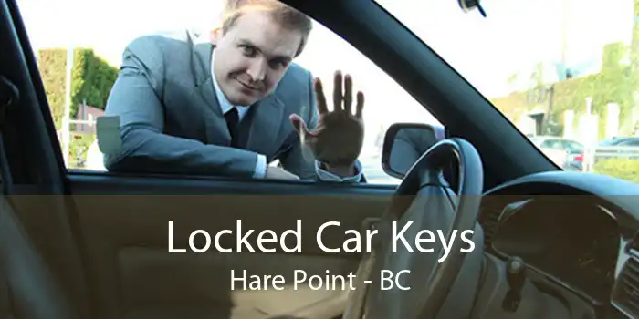 Locked Car Keys Hare Point - BC