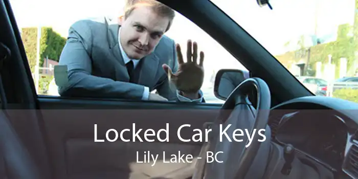 Locked Car Keys Lily Lake - BC