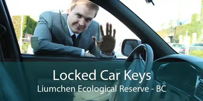 Locked Car Keys Liumchen Ecological Reserve - BC