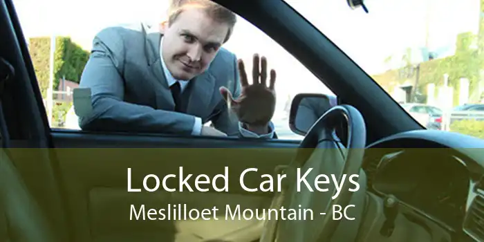 Locked Car Keys Meslilloet Mountain - BC