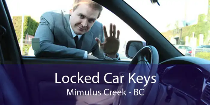 Locked Car Keys Mimulus Creek - BC