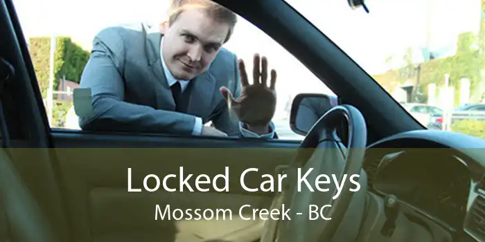 Locked Car Keys Mossom Creek - BC