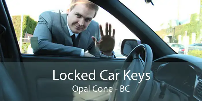Locked Car Keys Opal Cone - BC