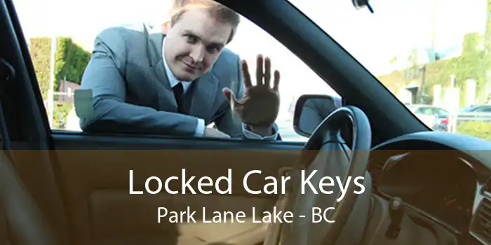 Locked Car Keys Park Lane Lake - BC