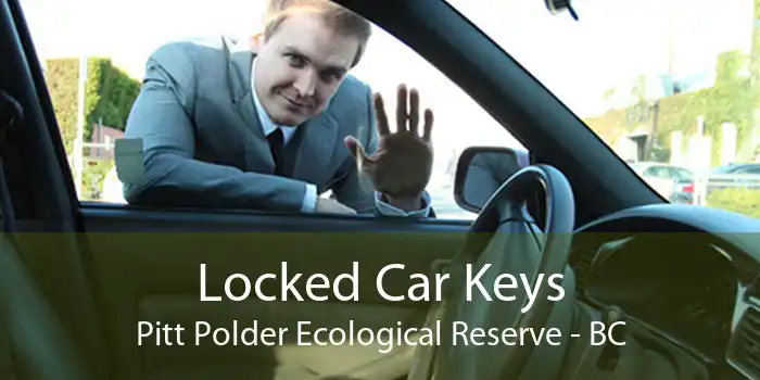 Locked Car Keys Pitt Polder Ecological Reserve - BC