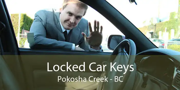Locked Car Keys Pokosha Creek - BC
