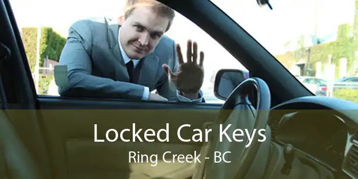 Locked Car Keys Ring Creek - BC