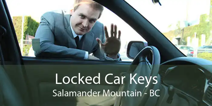 Locked Car Keys Salamander Mountain - BC